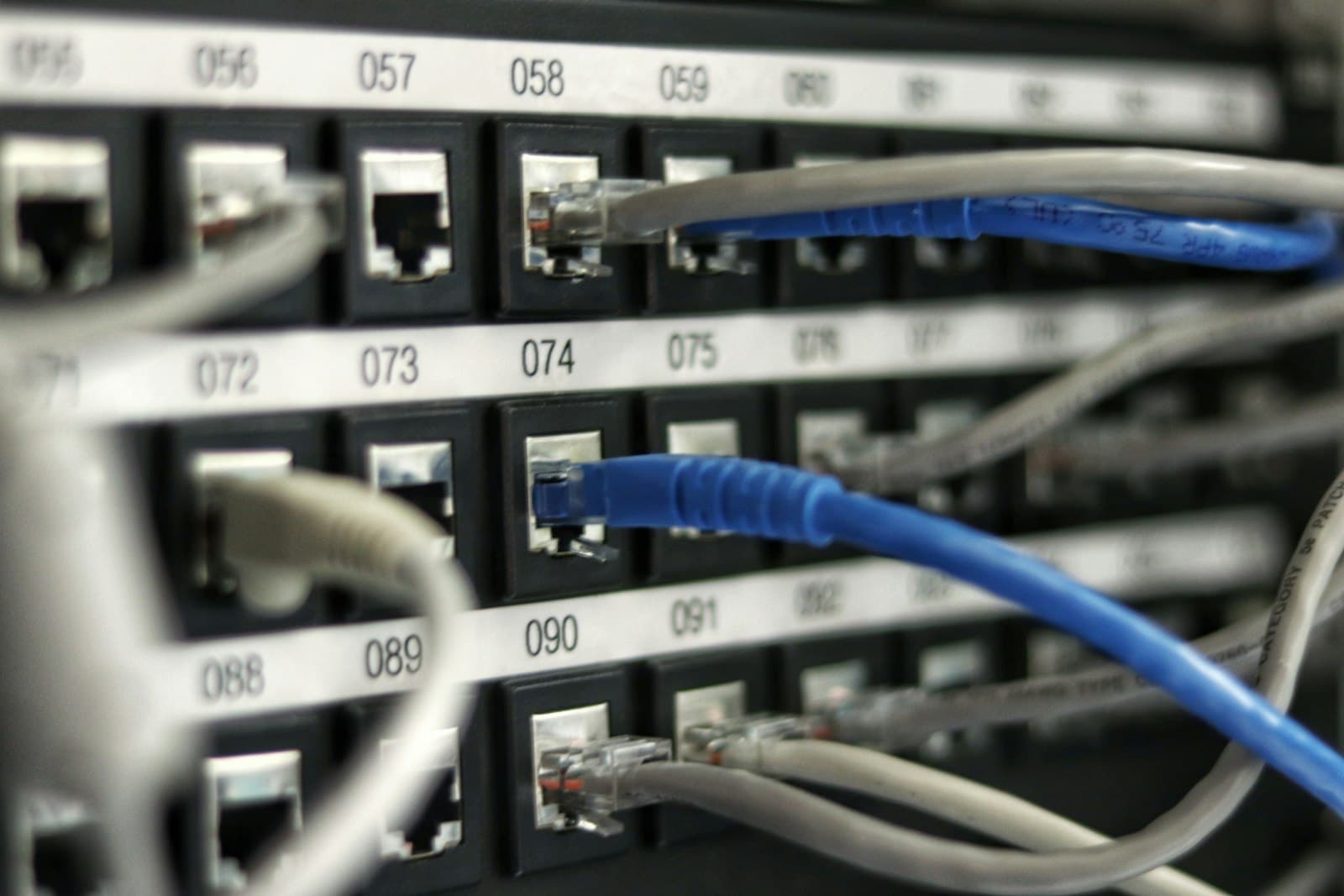 Close-up of network cables patched into a data center switch panel